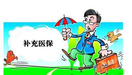 补充医疗保险是什么?医保缴费如何查询?