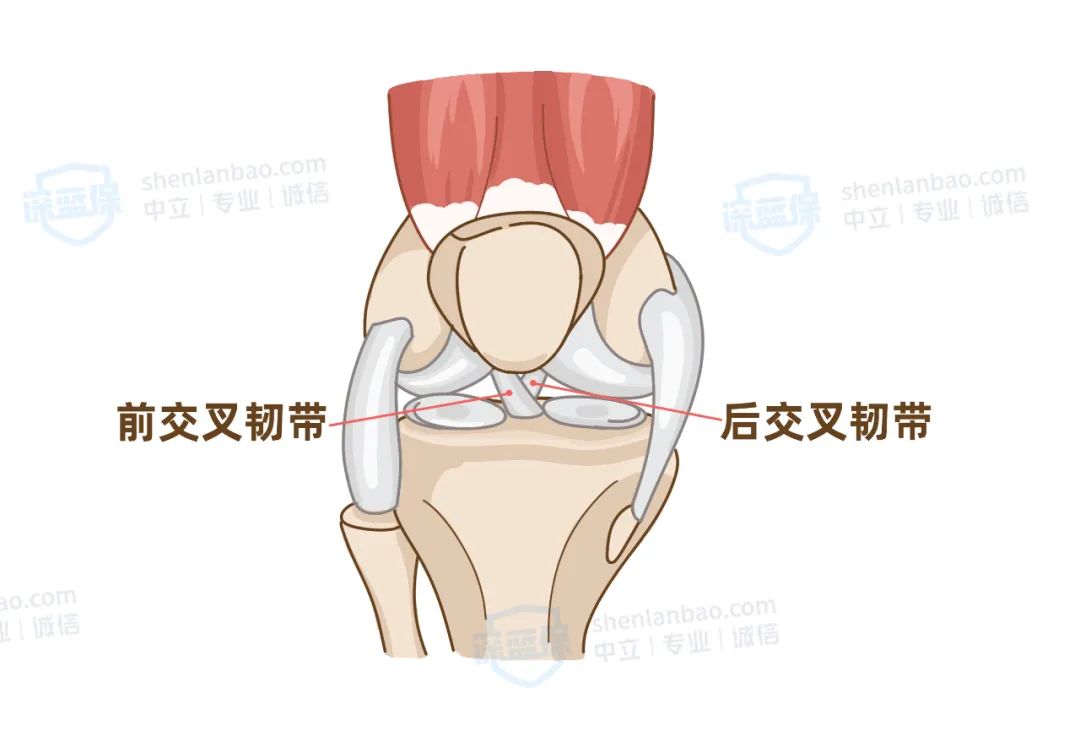 上班意外受伤，工伤险和意外险能同时赔吗？