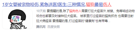 毛孩子看病贵？宠物保险：铲屎官“减负”良方