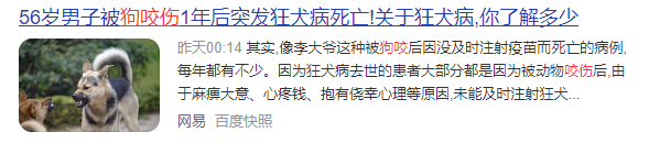 毛孩子看病贵？宠物保险：铲屎官“减负”良方