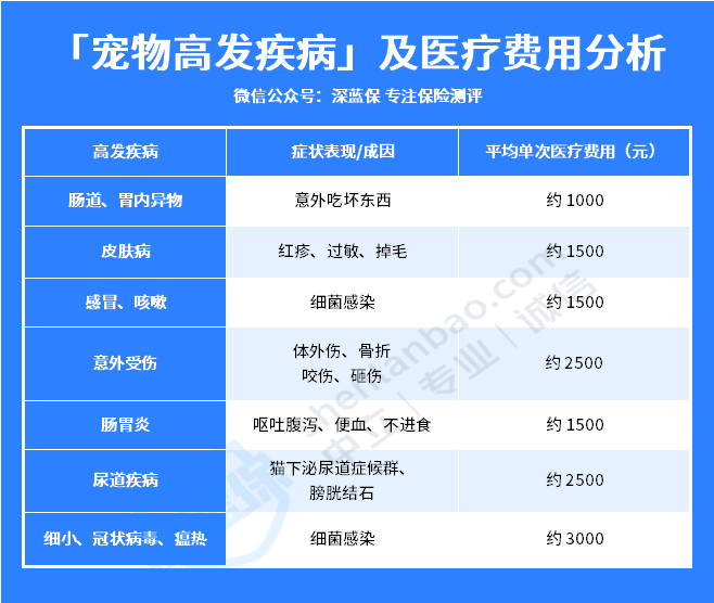 毛孩子看病贵？宠物保险：铲屎官“减负”良方